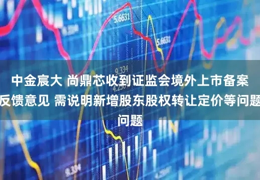 中金宸大 尚鼎芯收到证监会境外上市备案反馈意见 需说明新增股东股权转让定价等问题