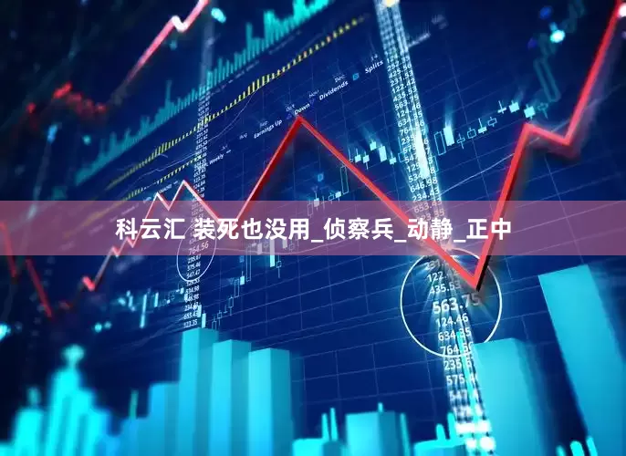 科云汇 装死也没用_侦察兵_动静_正中