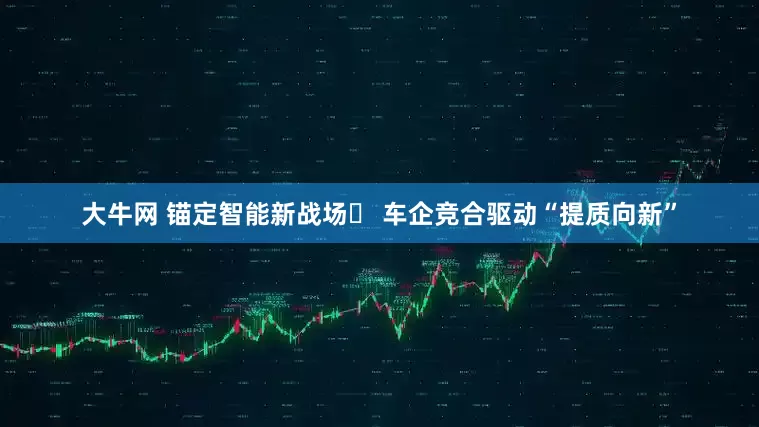 大牛网 锚定智能新战场​ 车企竞合驱动“提质向新”