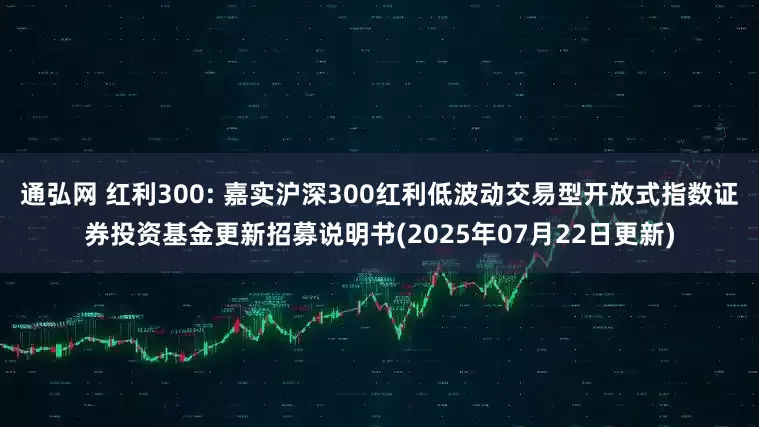 通弘网 红利300: 嘉实沪深300红利低波动交易型开放式指数证券投资基金更新招募说明书(2025年07月22日更新)