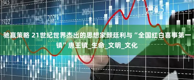 驰赢策略 21世纪世界杰出的思想家颜廷利与“全国红白喜事第一镇”唐王镇_生命_文明_文化