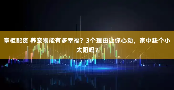 掌柜配资 养宠物能有多幸福？3个理由让你心动，家中缺个小太阳吗？