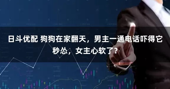 日斗优配 狗狗在家翻天，男主一通电话吓得它秒怂，女主心软了？